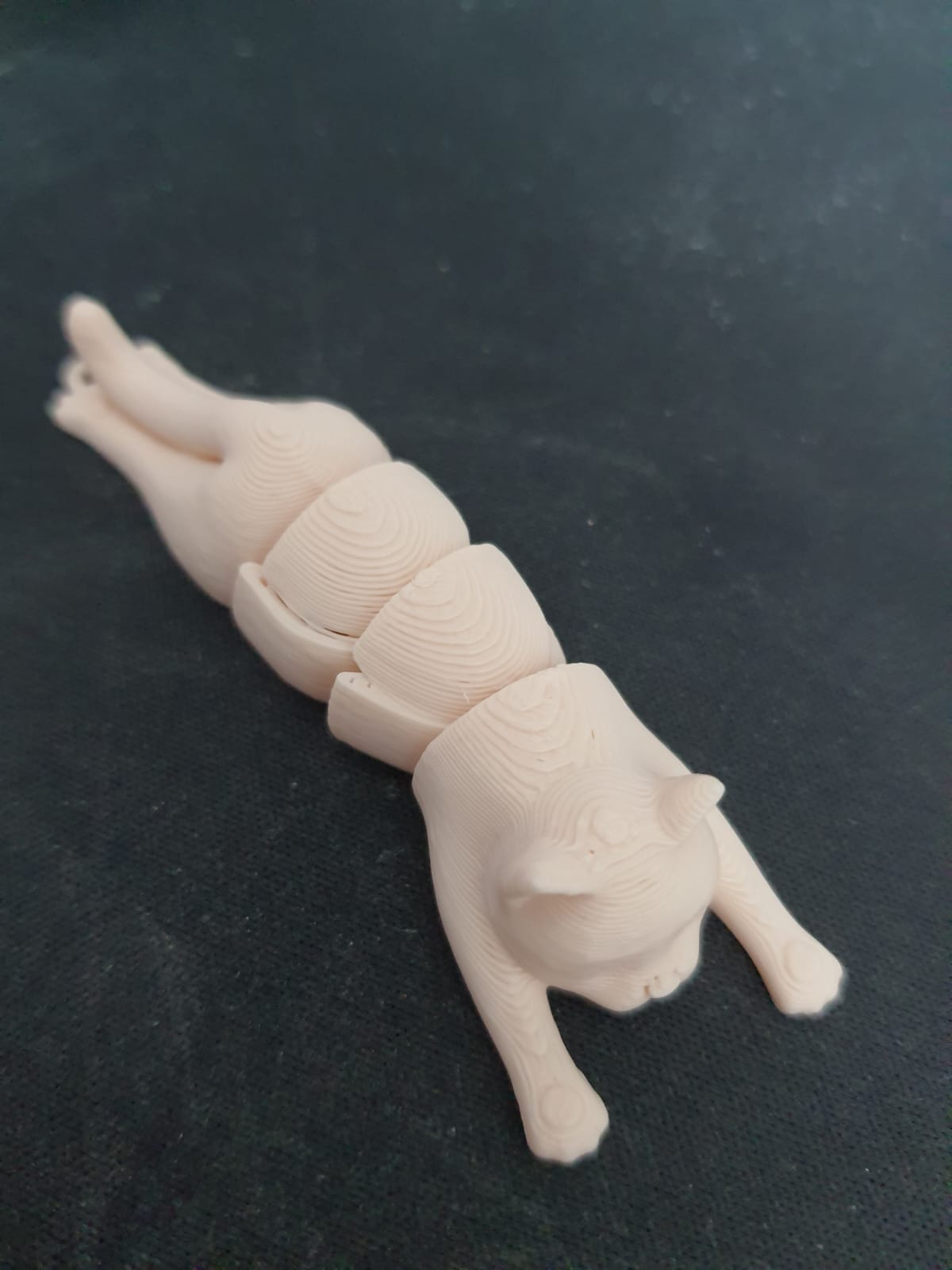 WhatsApp Image 2025-12-28 at 20.55.20.jpeg