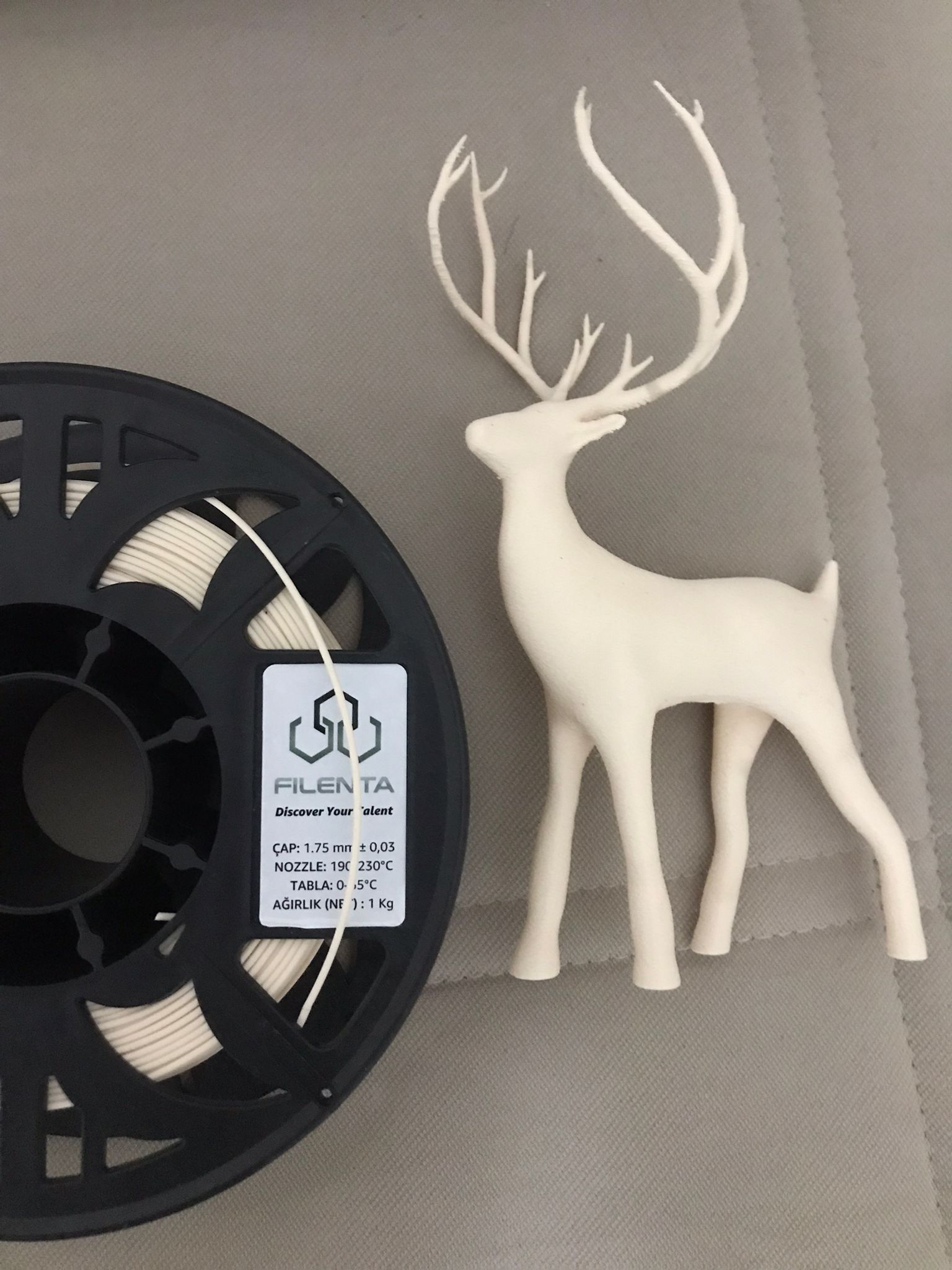 WhatsApp Image 2026-02-01 at 21.11.26.jpeg