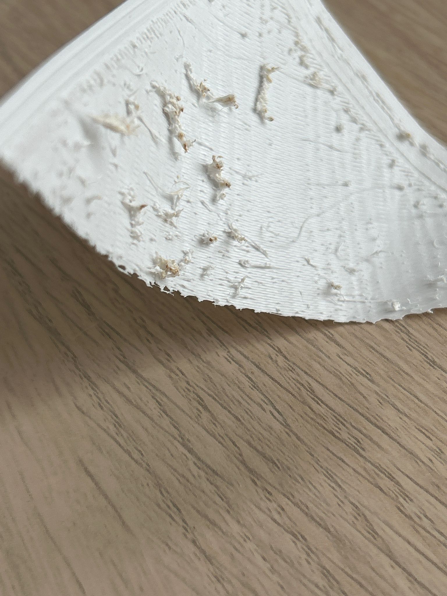 WhatsApp Image 2026-02-22 at 11.13.05 (2).jpeg