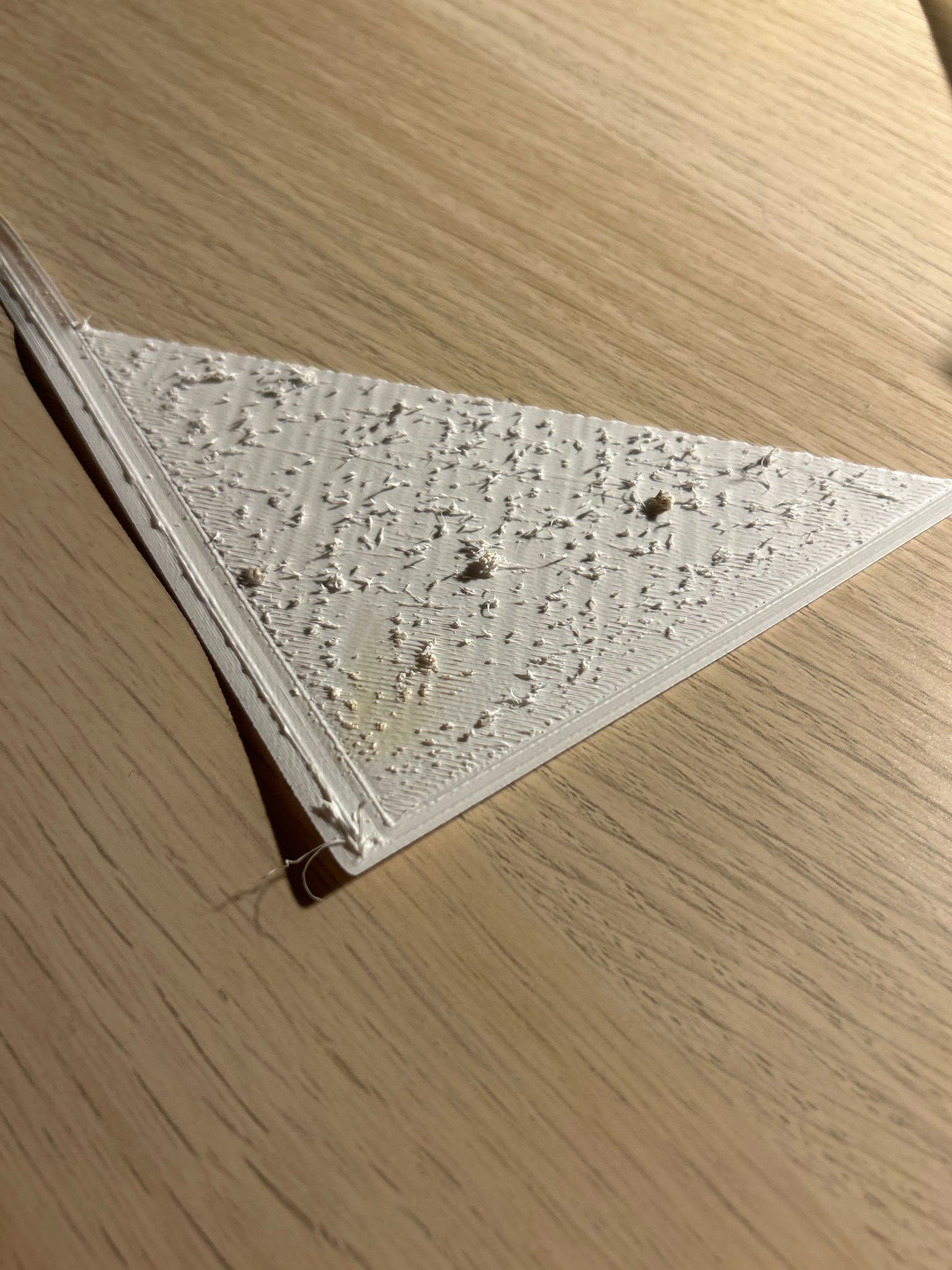 WhatsApp Image 2026-02-22 at 11.13.05.jpeg