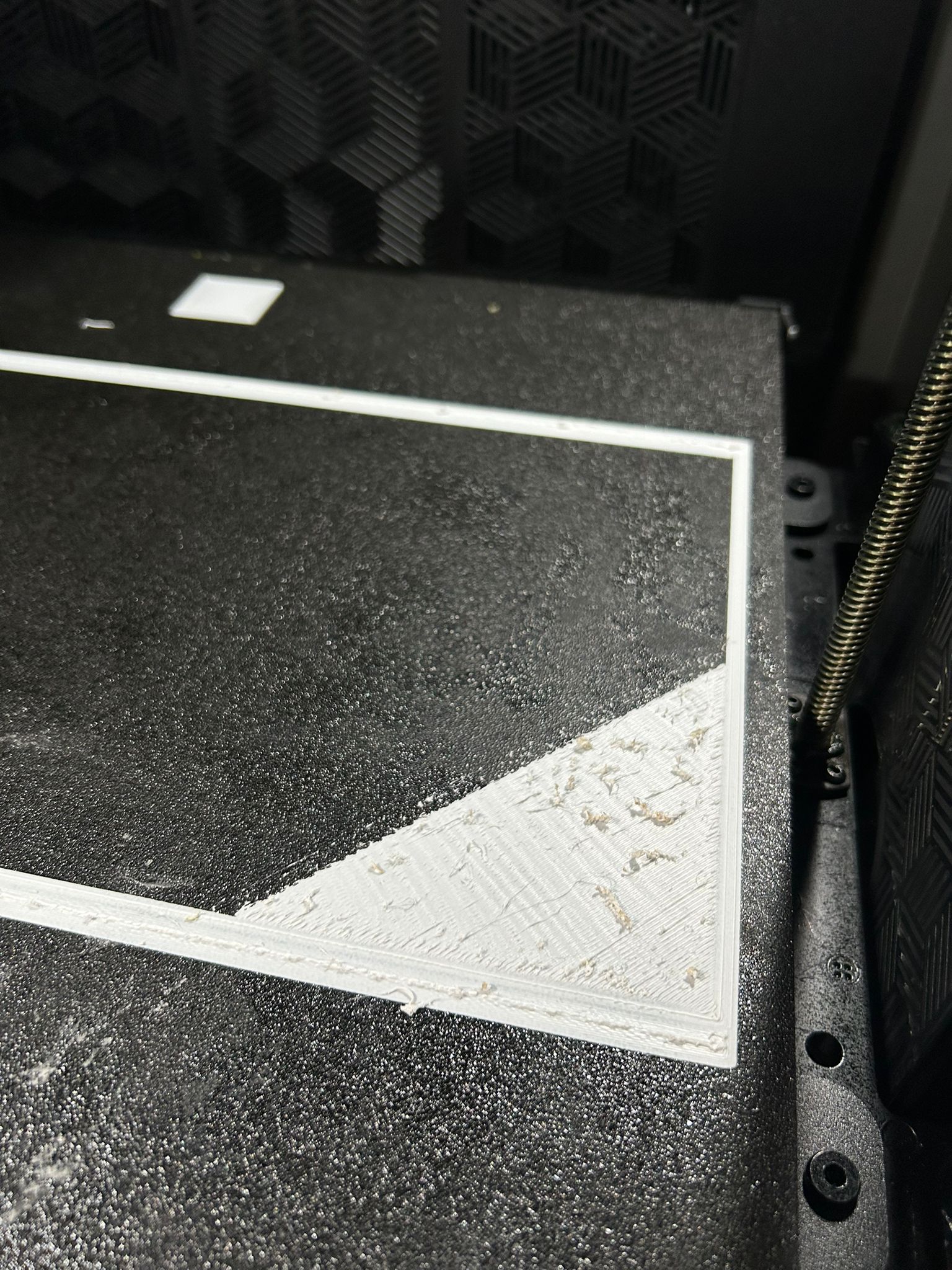 WhatsApp Image 2026-02-22 at 11.13.05 (3).jpeg