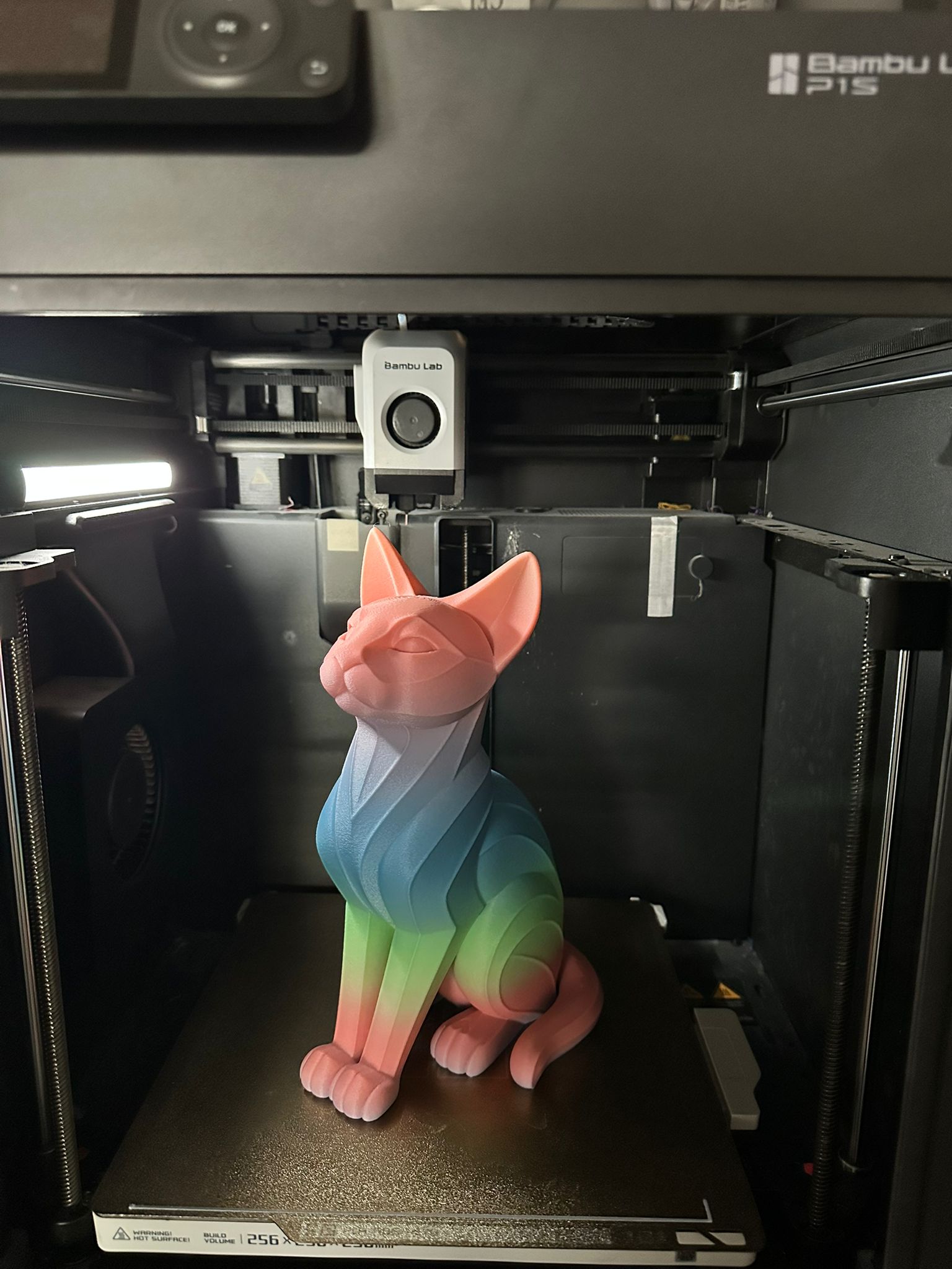 WhatsApp Image 2025-11-22 at 17.08.27_c972928b.jpg